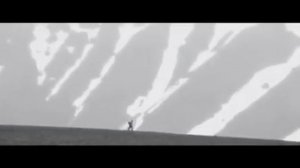 Ищи. Я тоже тебя ищу. Автор: Джио Россо