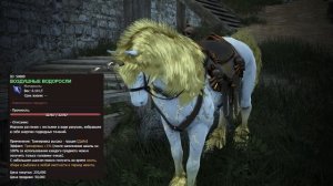 Рысак, Иллюзия Black Desert