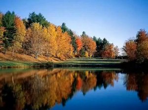 М.Вилцане и О.Гринбергс (Латвия) "Листья жёлтые" (видео)