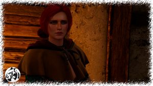 Ведьмак 3: Дикая Охота #65. Сейчас или никогда