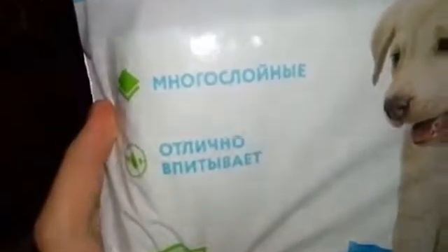 Товары для чихуахуа)) смотреть онлайн