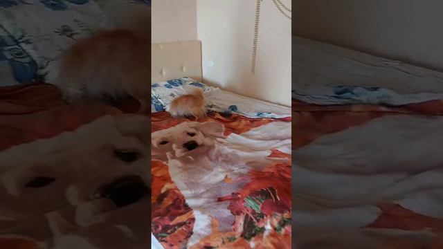 Филя 03.09.2024