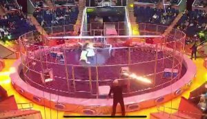 В сочинском цирке лев во время представления напал на дрессировщика