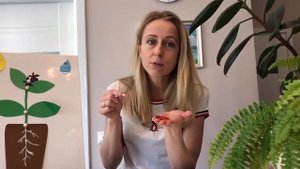 Язычок и комнатные растения ( Занятие 9) Развитие речи для детей