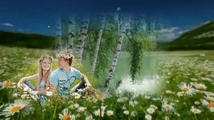 Таня Штерн   Береза белая 2014