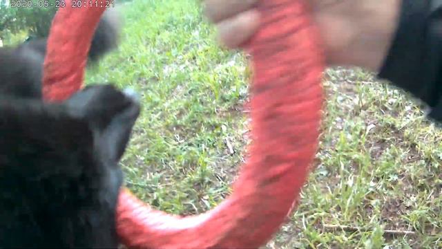 Вечерняя прогулка! смотреть онлайн