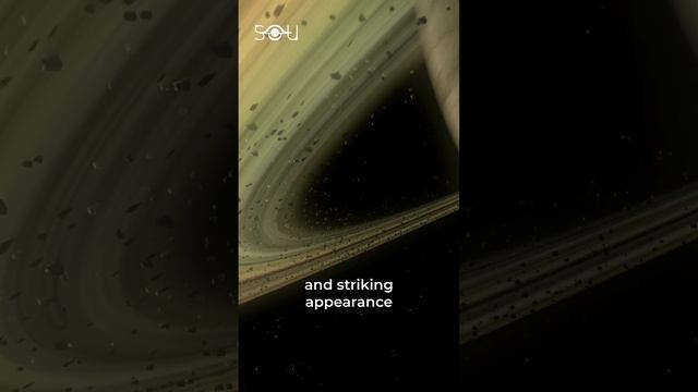 Diving into Saturn's Rings