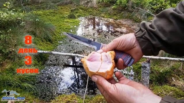 СВЕЖЕЕ МЯСО В БОЛОТЕ- Консервация или нет? Как сохранить мясо? Медведь делает схрон в тайге Бушкраф смотреть онлайн