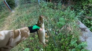 Тейлспиннер. Избавляемся от ошибок.  Ловим правильно