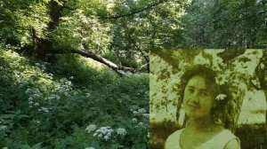 любовь не тихая вода