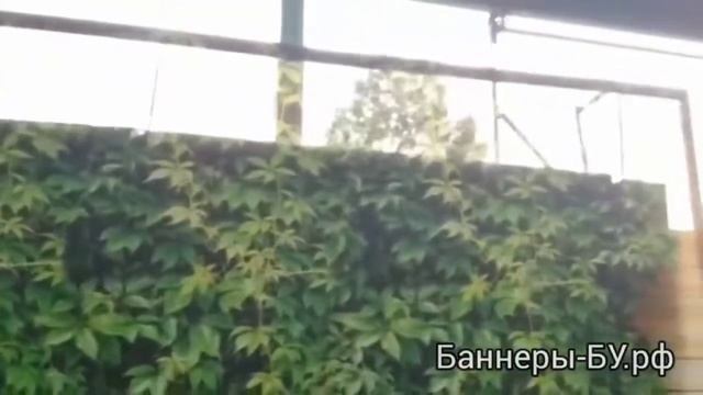 Баннерная сетка