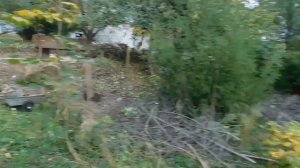 Жизнь в Берёзовке, Самарская область