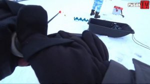 Зимняя Рыбалка на Финском заливе. 06.02.2022