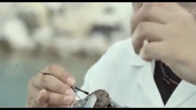 Рас Аль Хайм уникальный курорт ОАЭ