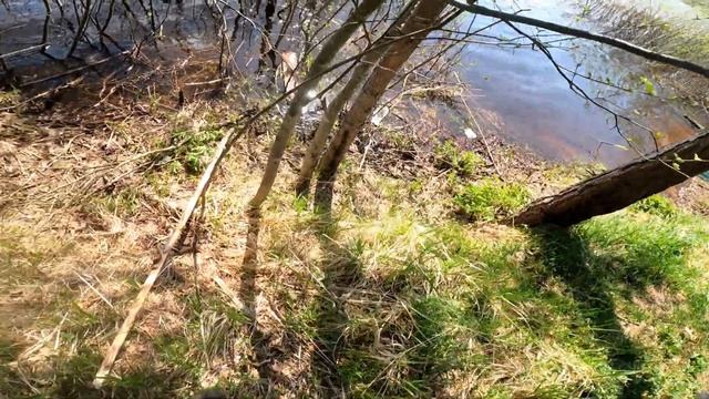 На Рыбалку в "4к"на Суду с Ночёвкой!!! День Второй!!! смотреть онлайн