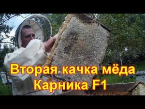 Карника, вторая качка мёда