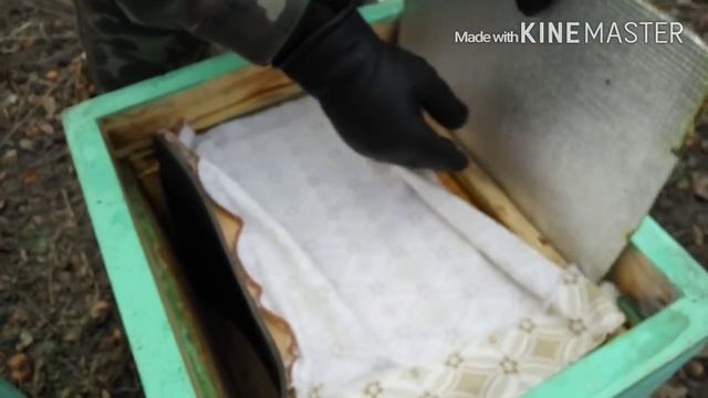 Бджільництво. Перше утеплення при стійких морозах.