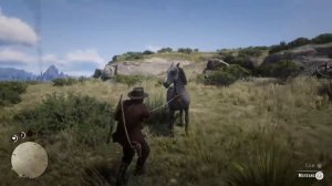 Red Dead 2 Catching a WILD MUSTANG