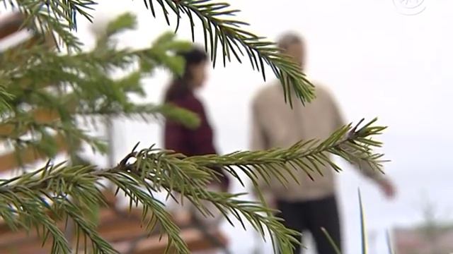 Юбилей поселка. Как это было. смотреть онлайн