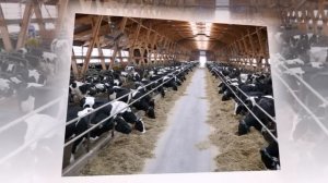 Дочь Сулеймана Керимова стала вкладывать деньги в развитие Дагестана.