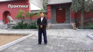 Цигун для начинающих. Урок 1 (русская озвучка, теория+практика)