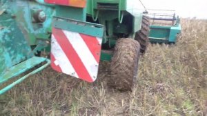Уборка суданской травы на семена Комбайном John Deere 2264