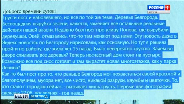 В Белгороде на месте больных каштанов высадили липы смотреть онлайн