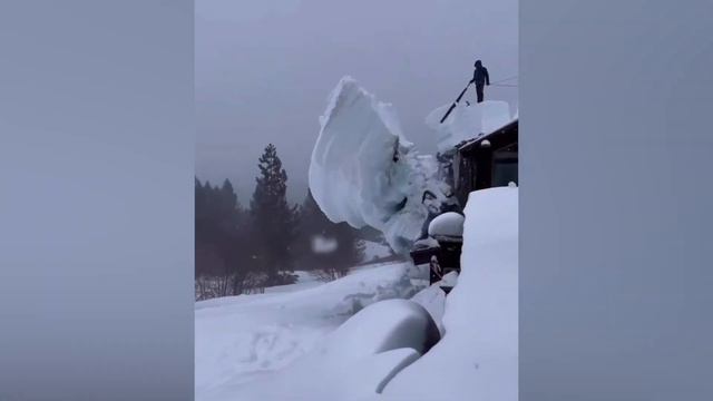 Если Бы Это Видео Не Сняли На Камеру, Никто Бы Не Поверил смотреть онлайн