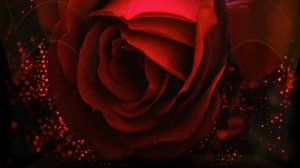 Лена - Леночка! Валерий Палаускас.