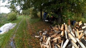 Заготовка рябины на зиму  курам // Дрова приехали!