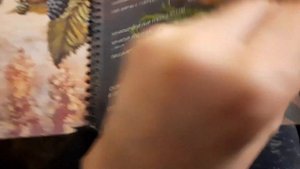 Кафе МУХУС в Сухуме, лучшие хинкали во всей Абхазии. Где поесть в Абхазии