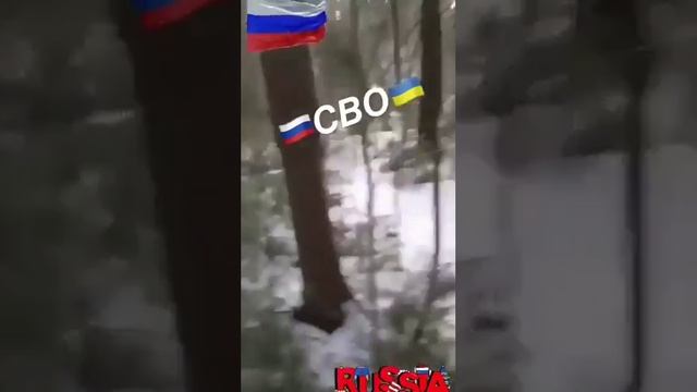 ?⚡Где-то в зоне СВО солдаты ВСУ подхватили песню «Катюша», которую услышали от наших бойцов.⚡?