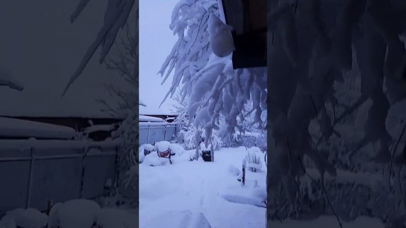 Краснодар 21.01.2024