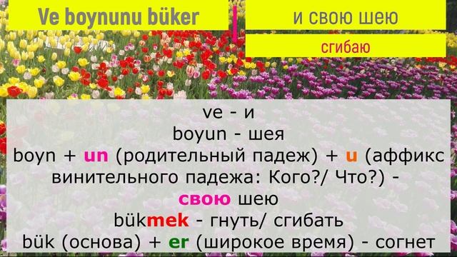 Разбор турецких песен - Ben bir tek kadın sevdim
