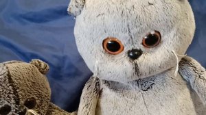 влог с Басиками, Басик помогает готовить ???