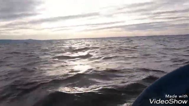 Закрытие сезона 2017 🎣 🐟 👎 смотреть онлайн