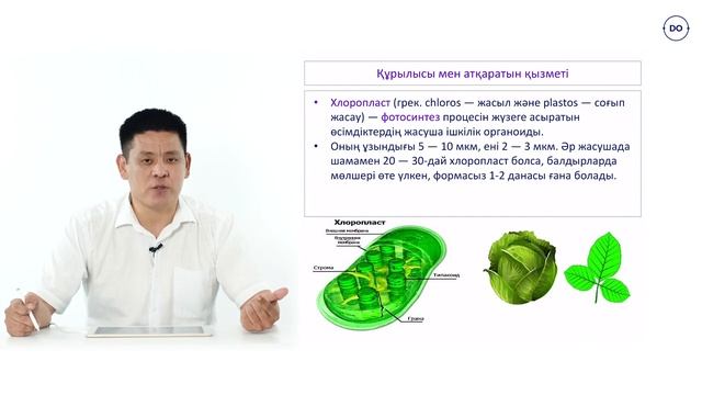 ҰБТ-ға дайындық курстары daryn.online платформасында. Биология пәнінің бір сабағы.
