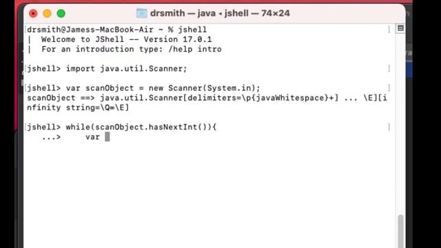 Practical Java: scanning in a loop until you don't get an integer input