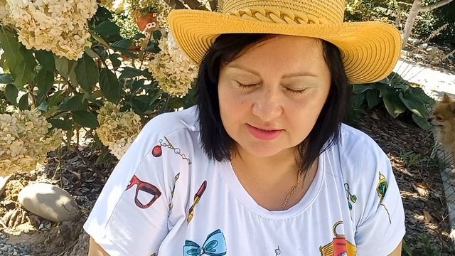 Как будут зимовать черенки гортензии.
