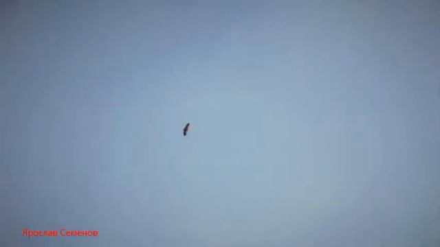 Азербайджан смотреть онлайн