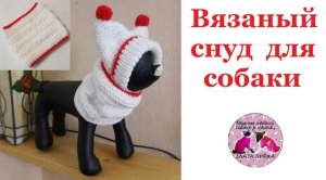 Вязаный снуд для собаки. Описание