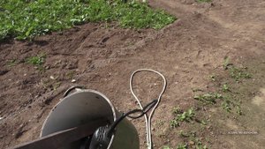 Хозяйство Воронова | Сосед борется с кротами на своём участке