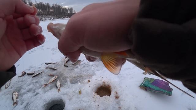 Вот это открытие. Зачетные батоны. Идеальна рыбалка смотреть онлайн