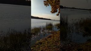 |АЛЛО РЫБАЛКА|    Рыбалка на озере Аракуль.