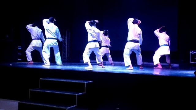 Karate Shotokan  da Ufac 2017 no Anime Ac parte 2