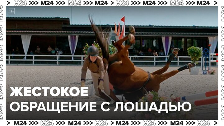 Создателей фильма "Мой любимый чемпион" обвинили в жестоком обращении с лошадью - Москва 24 смотреть онлайн
