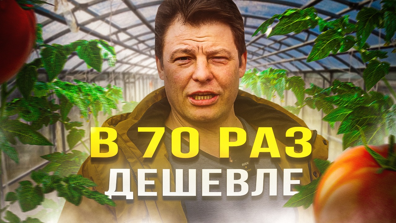 в 70 раз дешевле вносить по листу, чем лить под корень или антистресс для томатов ранней высадки