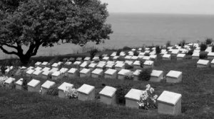 Kemal Ataturk's Tribute to the Anzacs