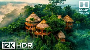 ПРИРОДА - Самые потрясающие кадры из когда-либо снятых! - 4K HDR Dolby Vision