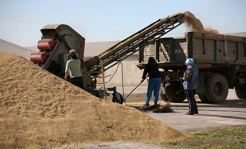 Россия вошла в двадцатку мировых лидеров по экспорту сельхозпродукции / События на ТВЦ